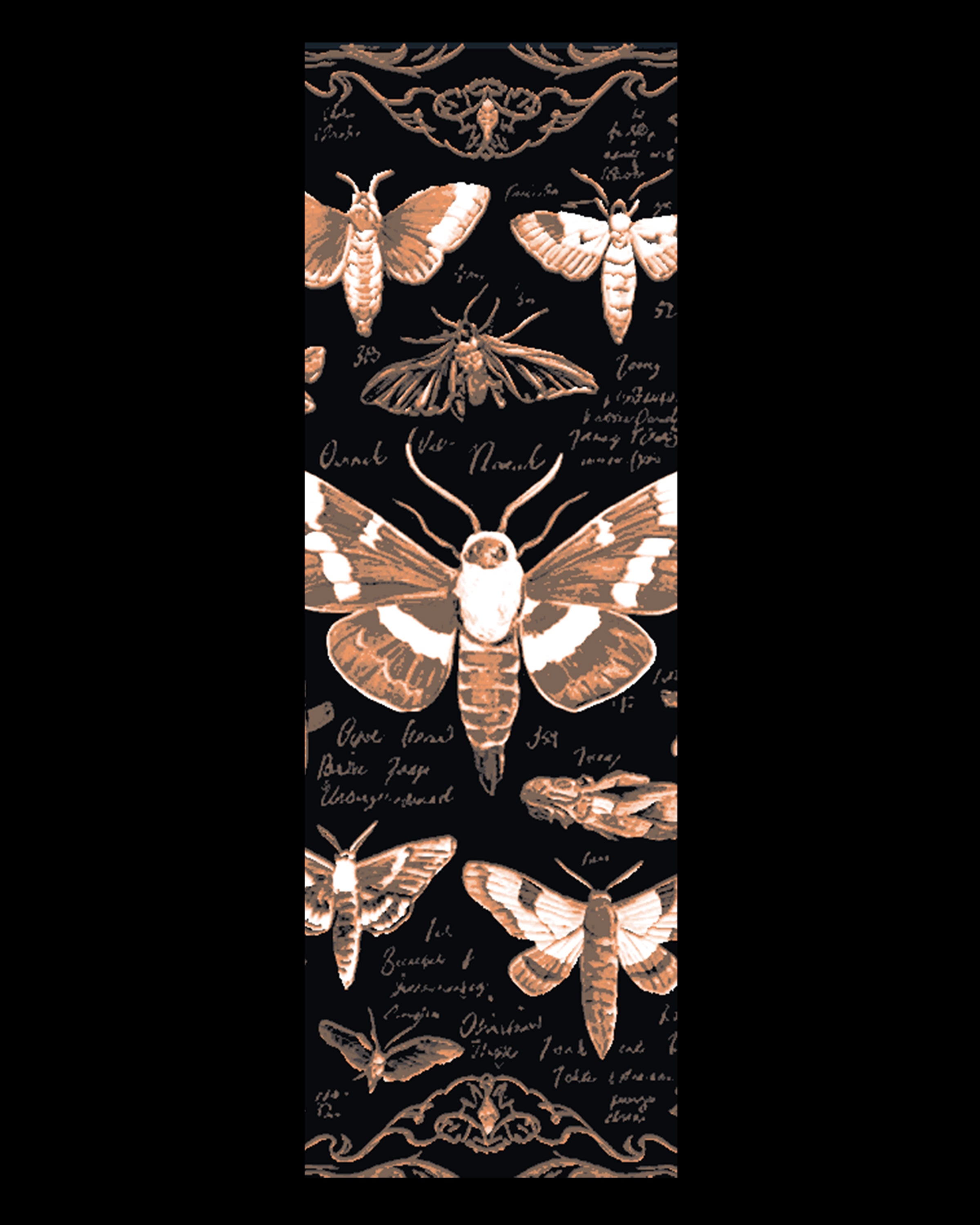 Eclipse of Moths 2