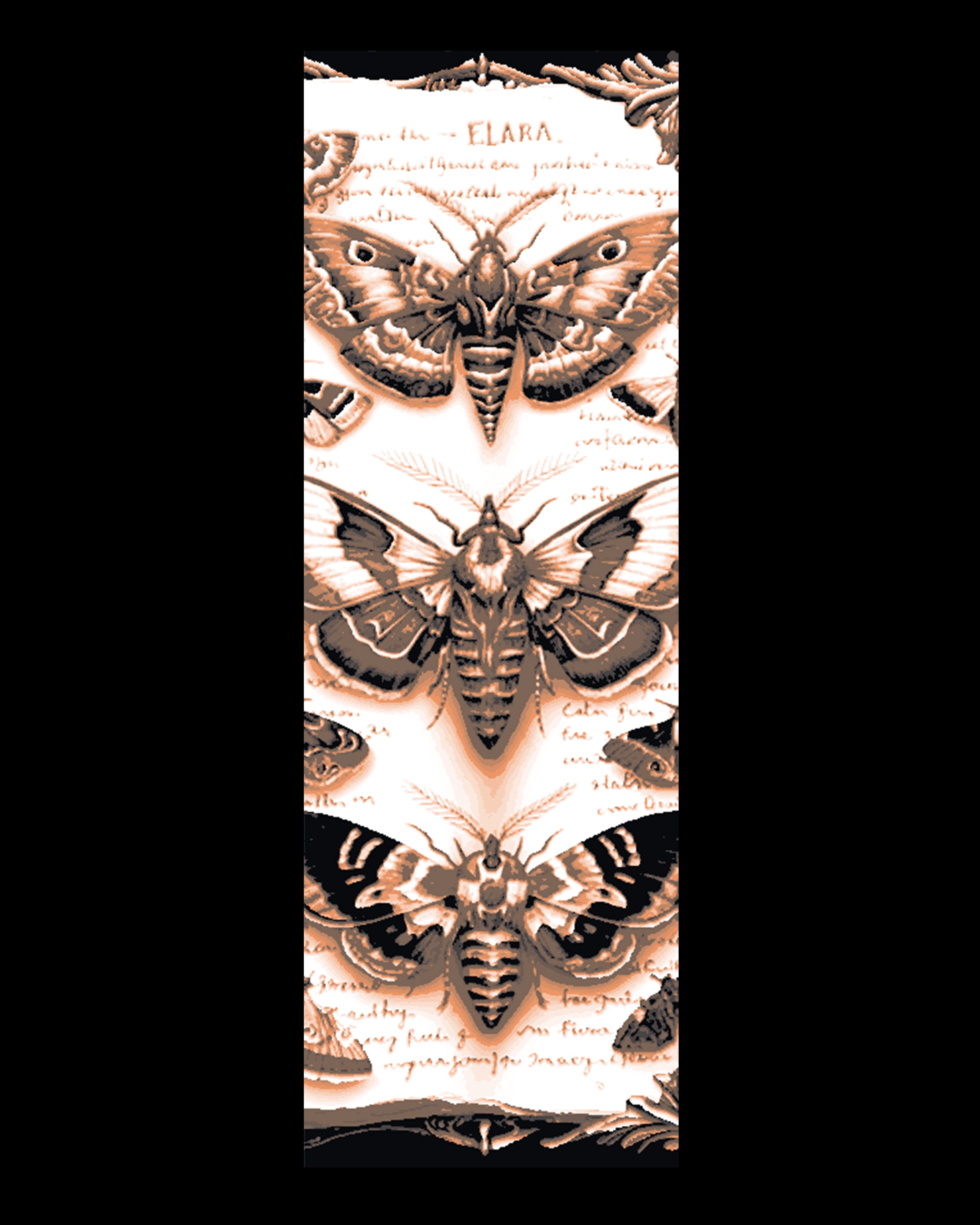 Eclipse of Moths 3