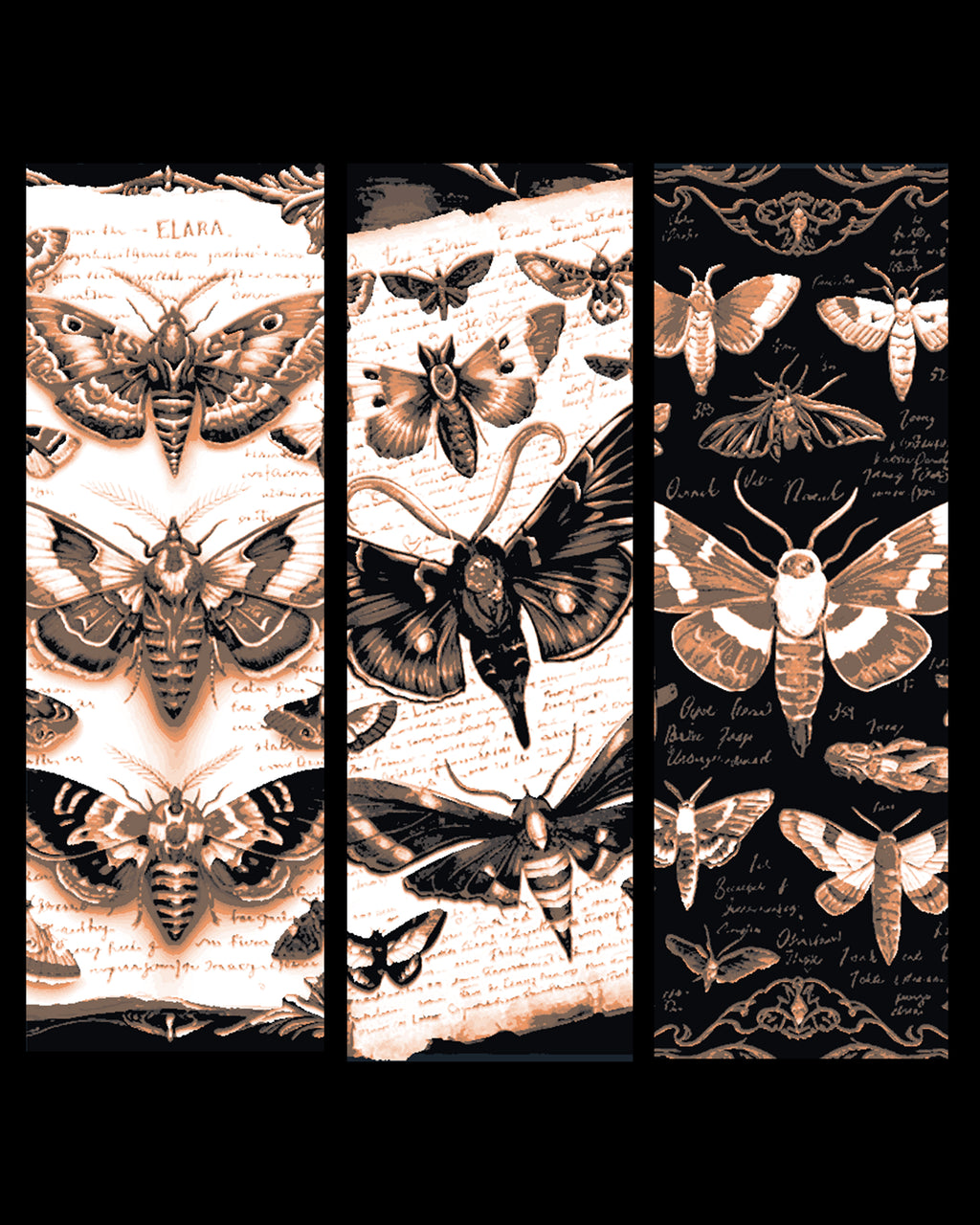 Eclipse of Moths 2