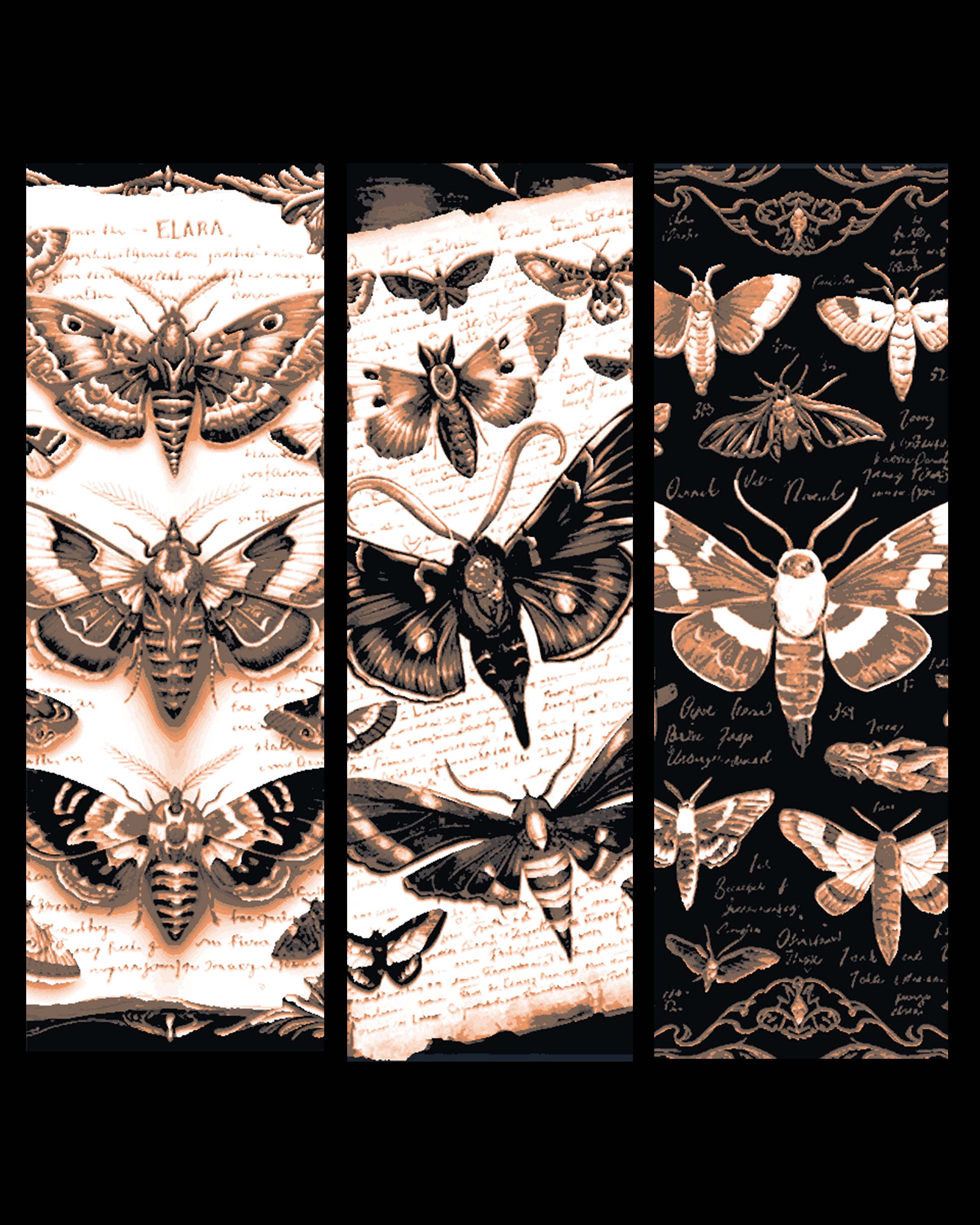 Eclipse of Moths 1