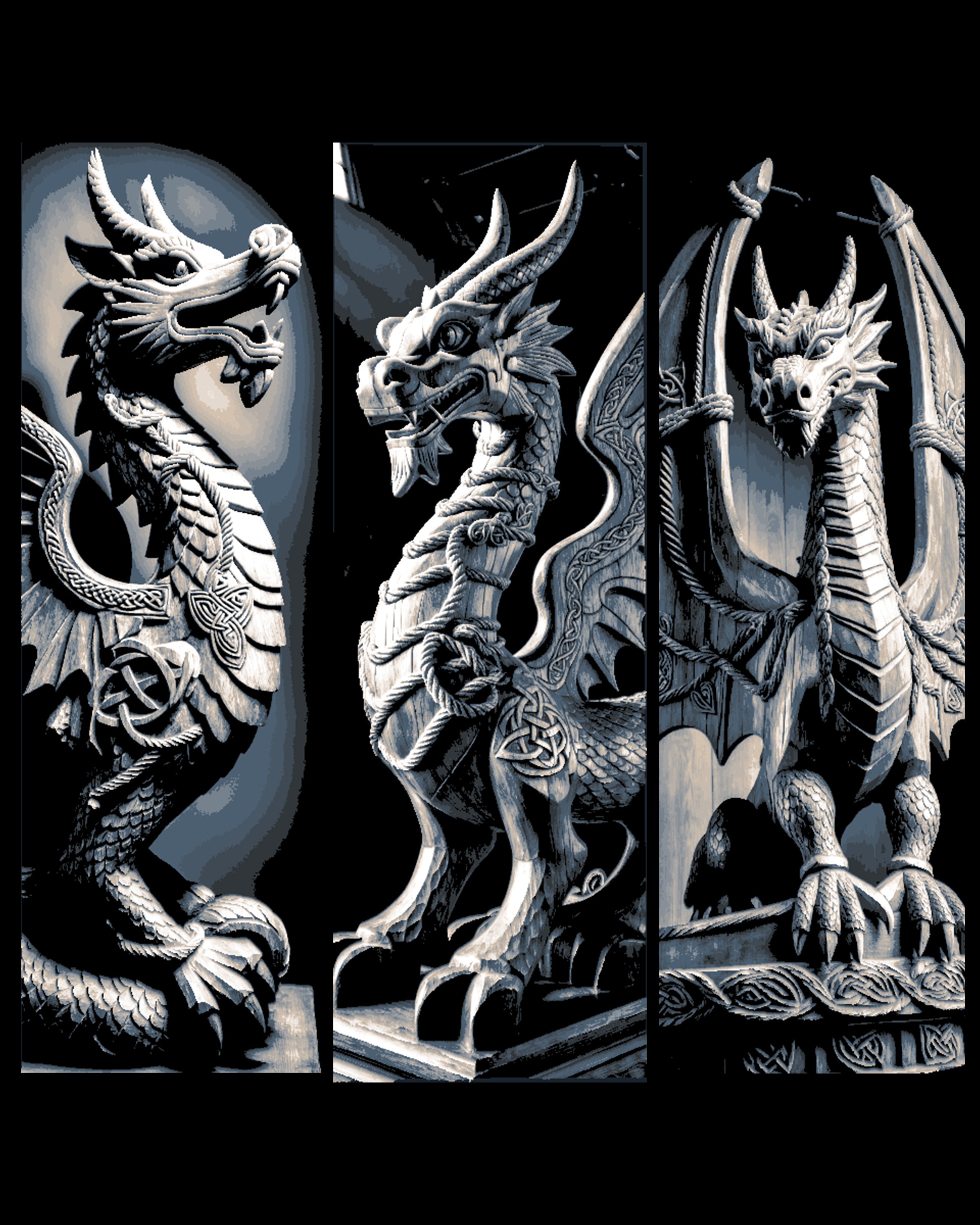Viking Dragon 1